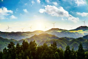 Existen distintos tipos de proyectos de créditos de carbono
